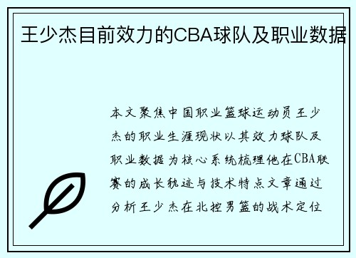 王少杰目前效力的CBA球队及职业数据